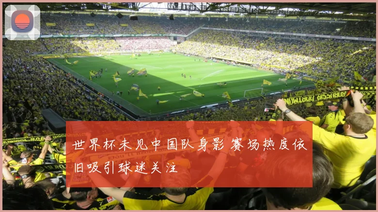 世界杯未见中国队身影 赛场热度依旧吸引球迷关注