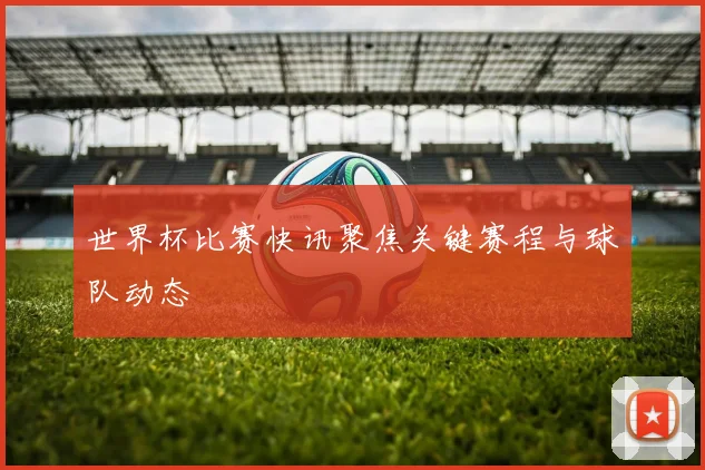世界杯比赛快讯聚焦关键赛程与球队动态